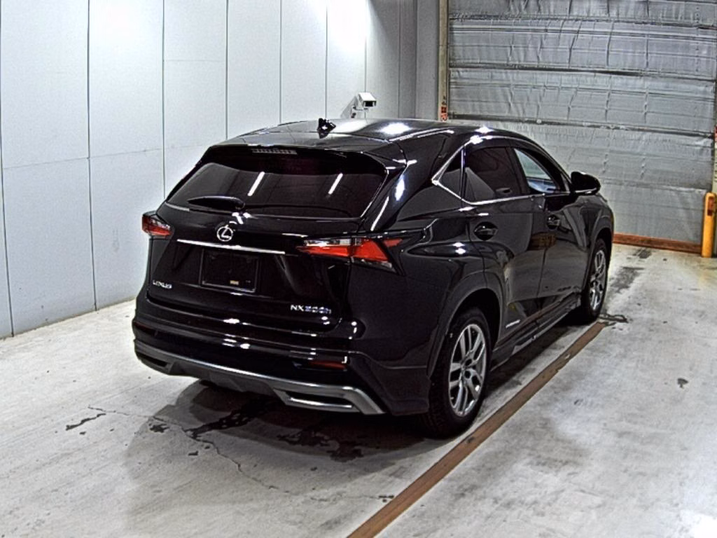 LEXUS NX300