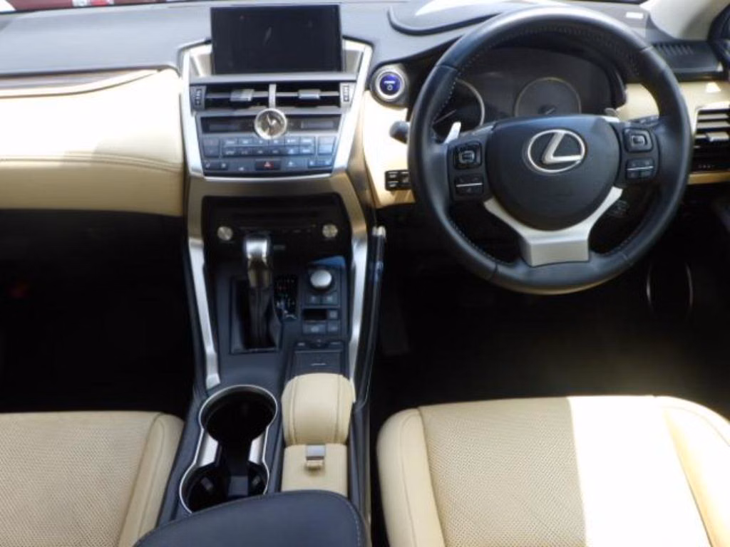 LEXUS NX300H