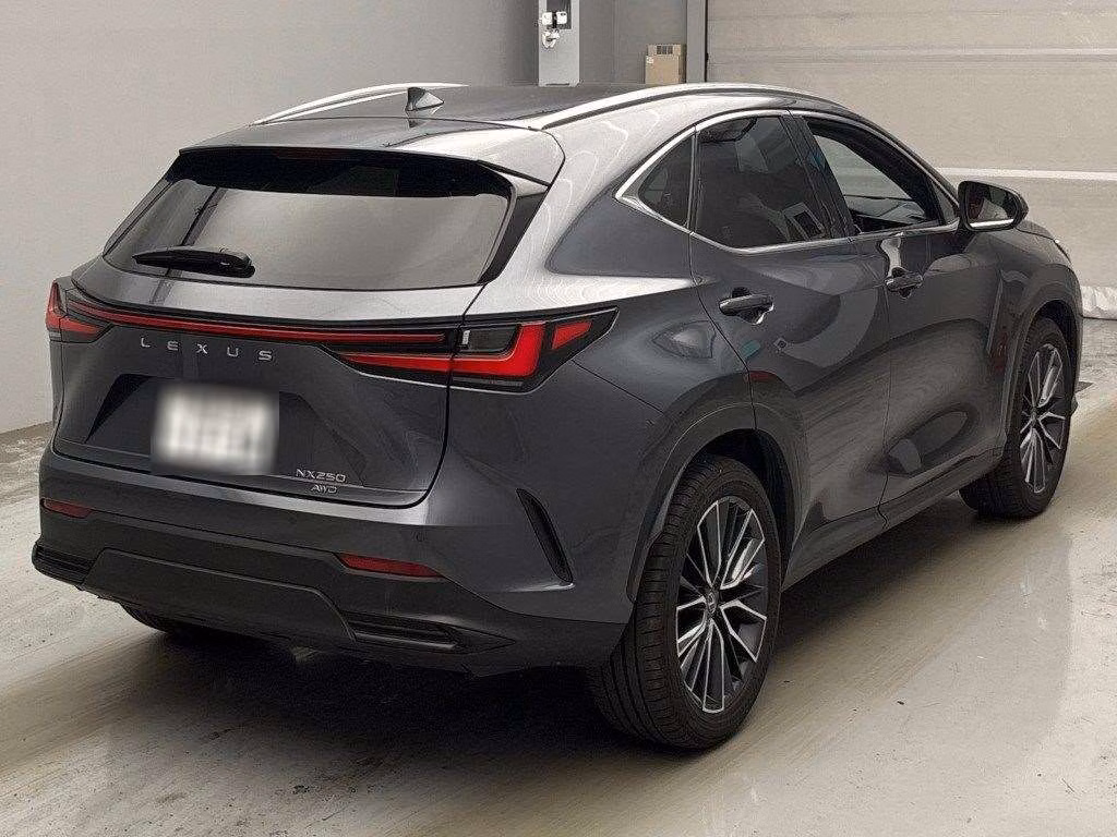 LEXUS NX250