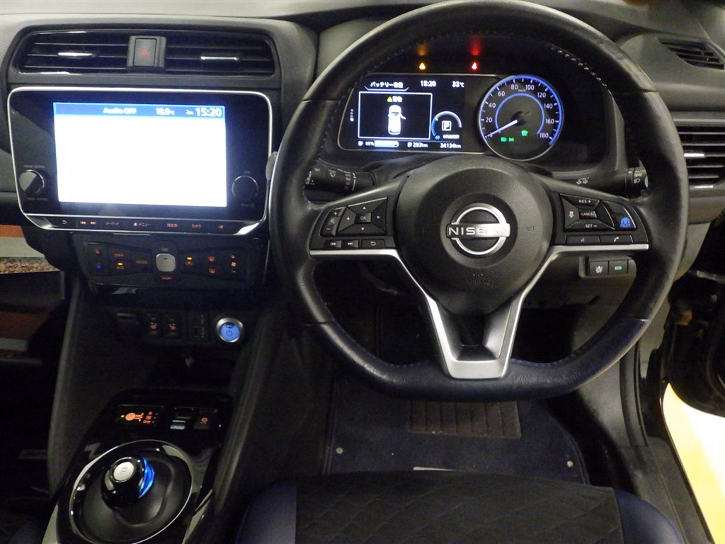 NISSAN LEAF