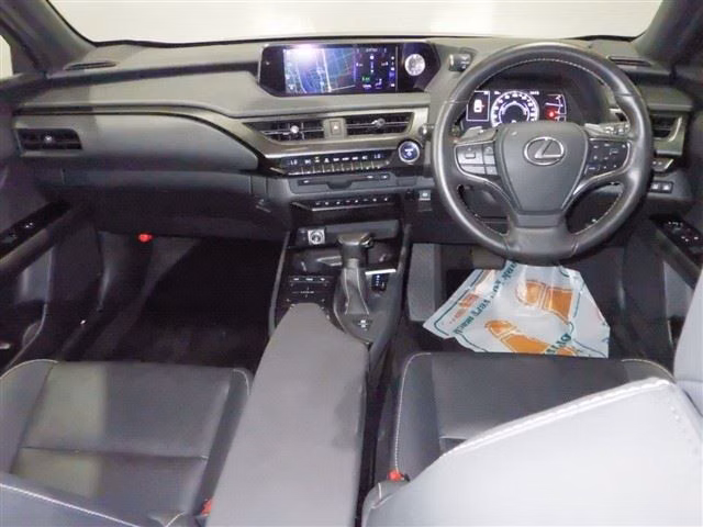 LEXUS UX250H