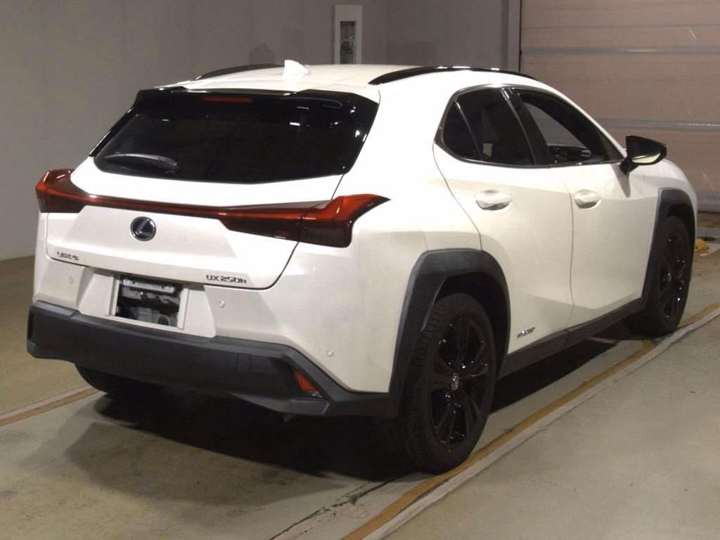LEXUS UX250H