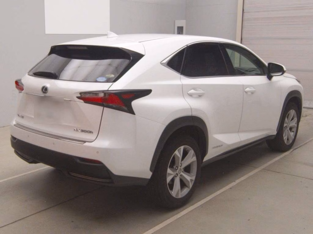 LEXUS NX300
