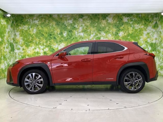 LEXUS UX250H