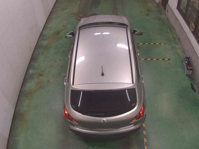 NISSAN DUALIS