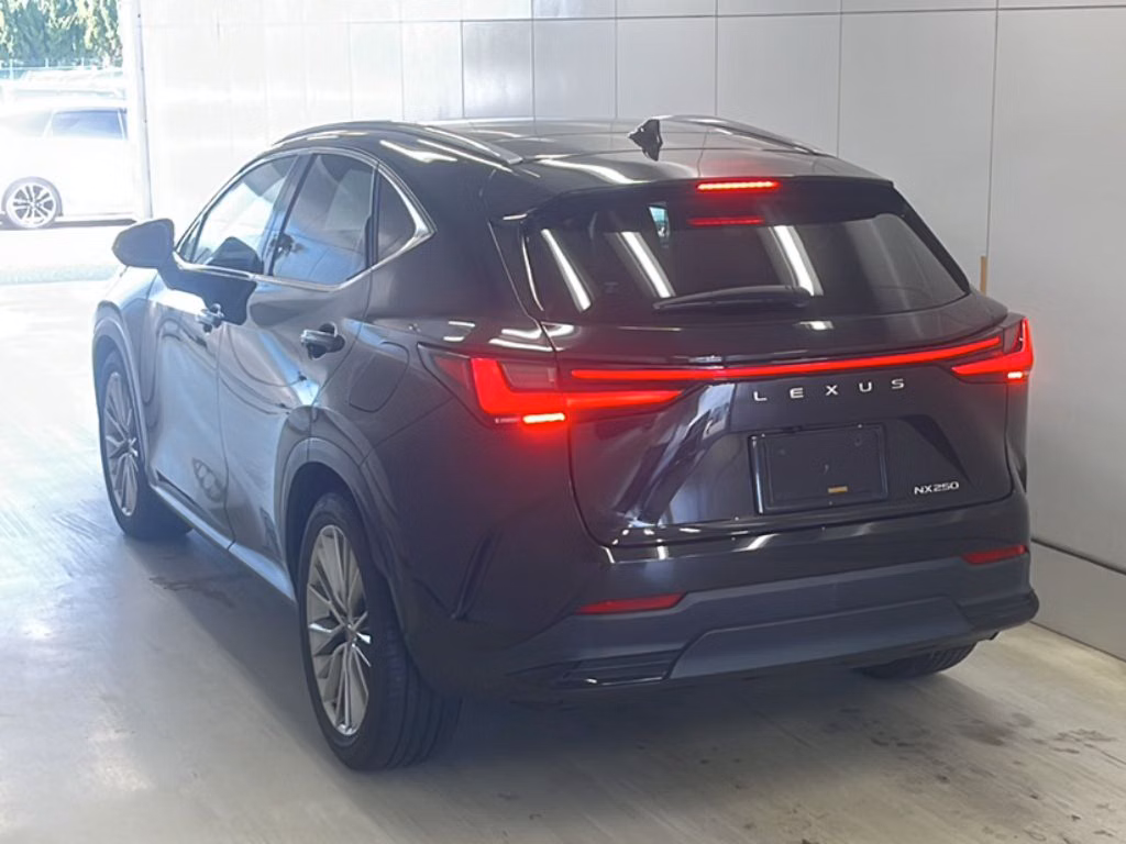 LEXUS NX250