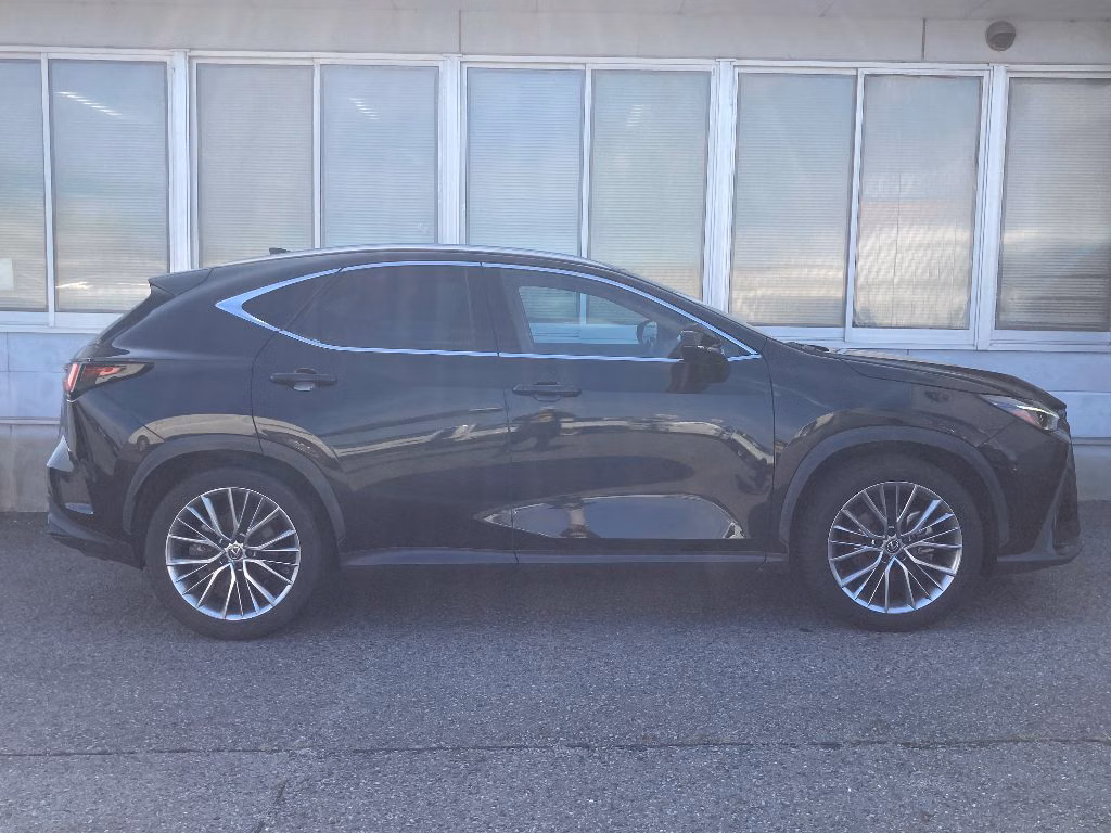 LEXUS NX250