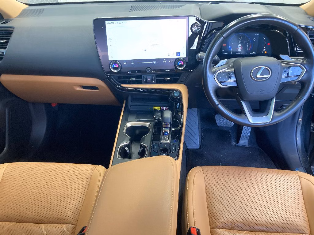 LEXUS NX250