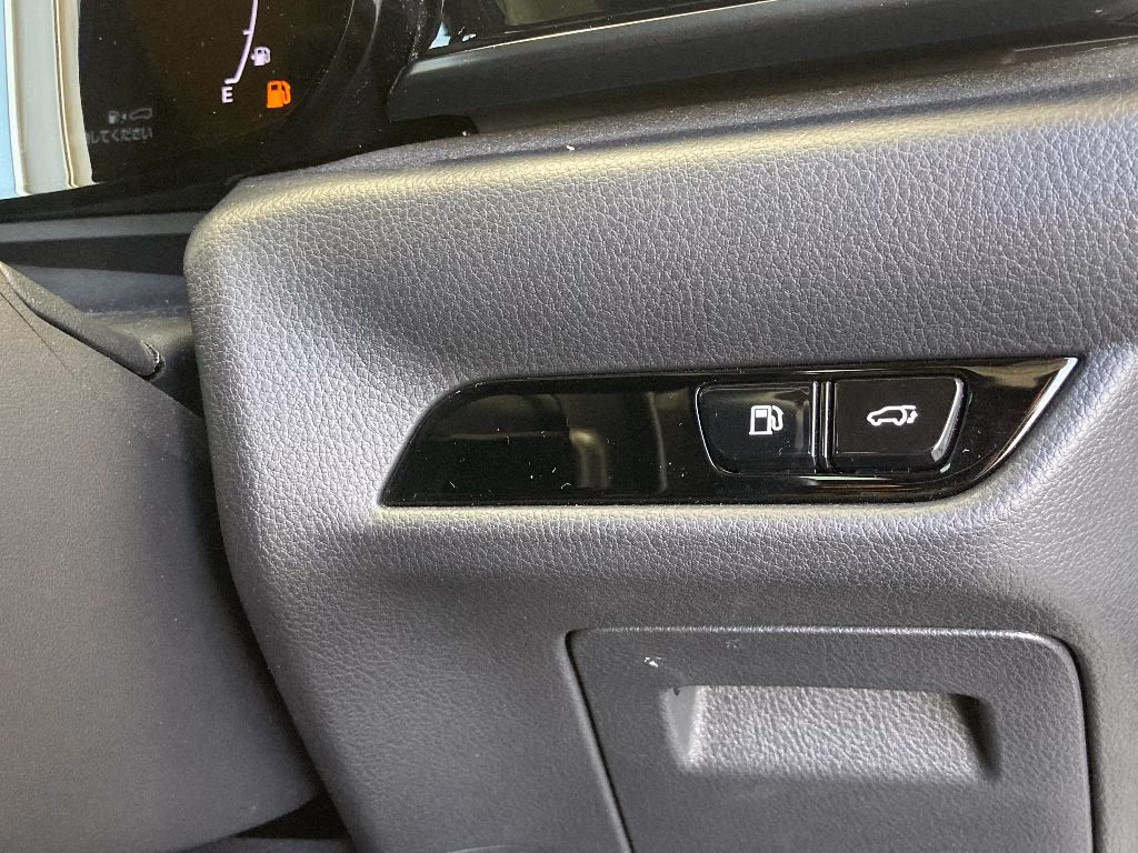 LEXUS NX250
