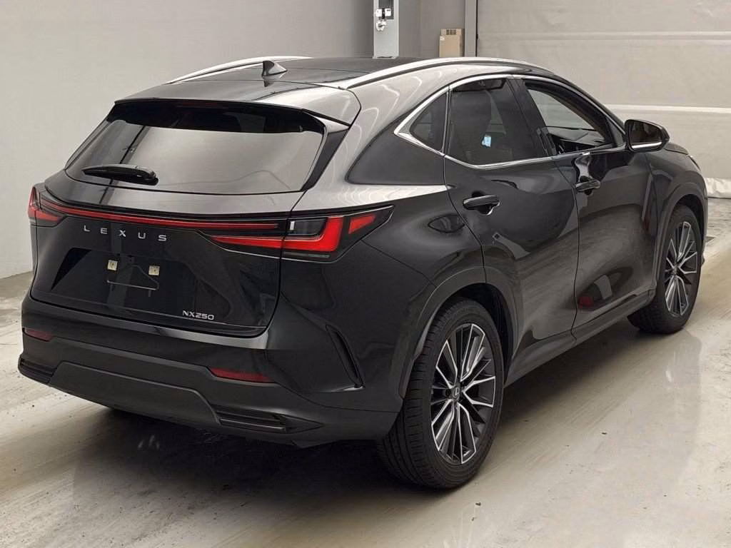 LEXUS NX250