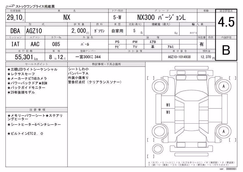 LEXUS NX300