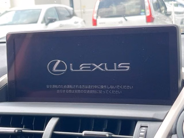LEXUS NX300