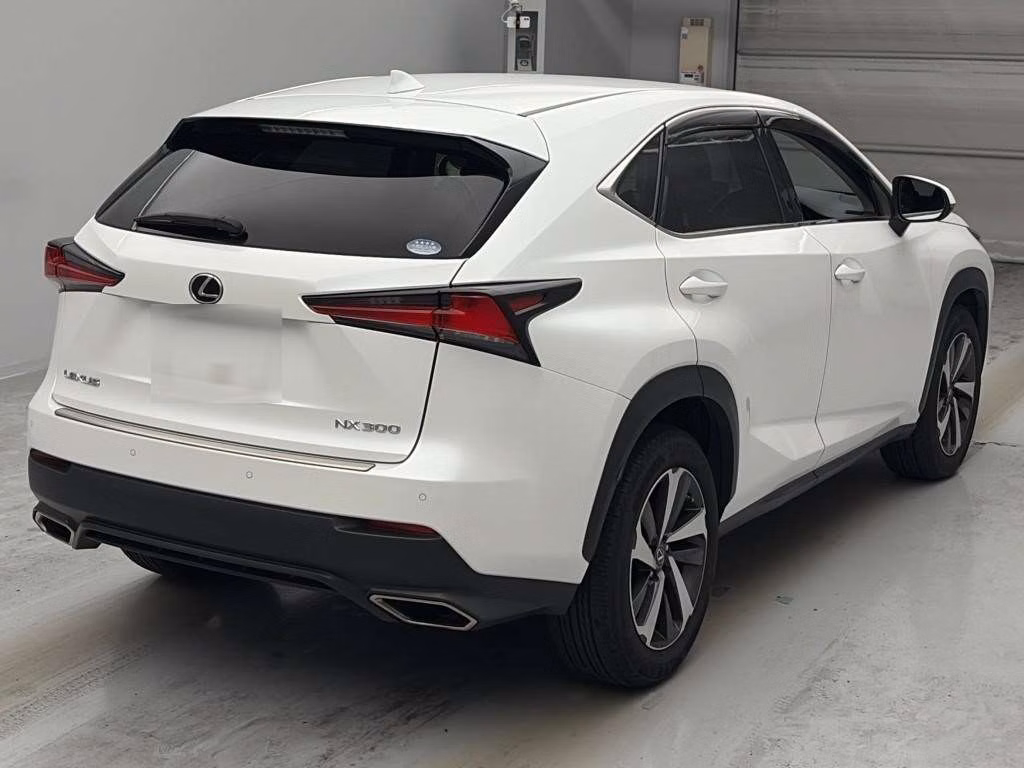 LEXUS NX300