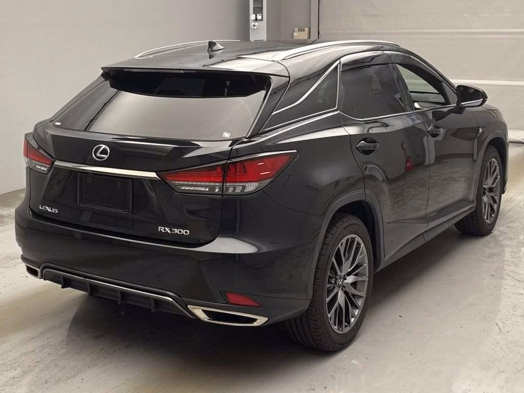 LEXUS RX300