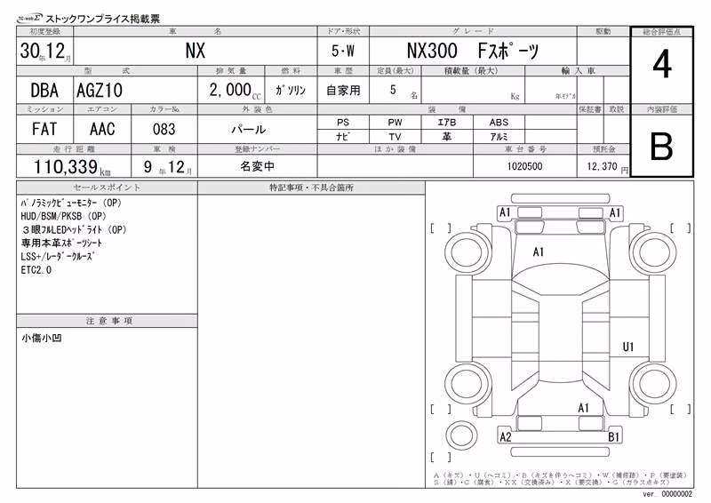 LEXUS NX300