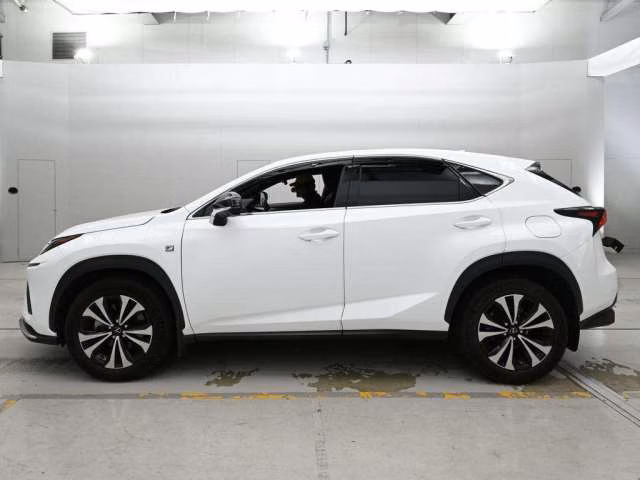 LEXUS NX300