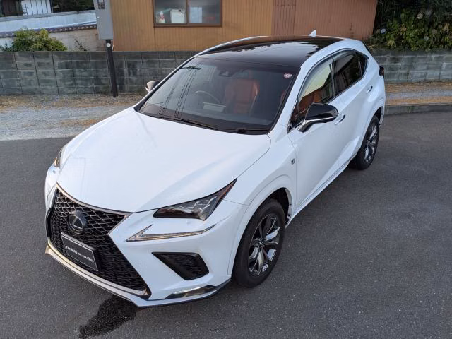 LEXUS NX300