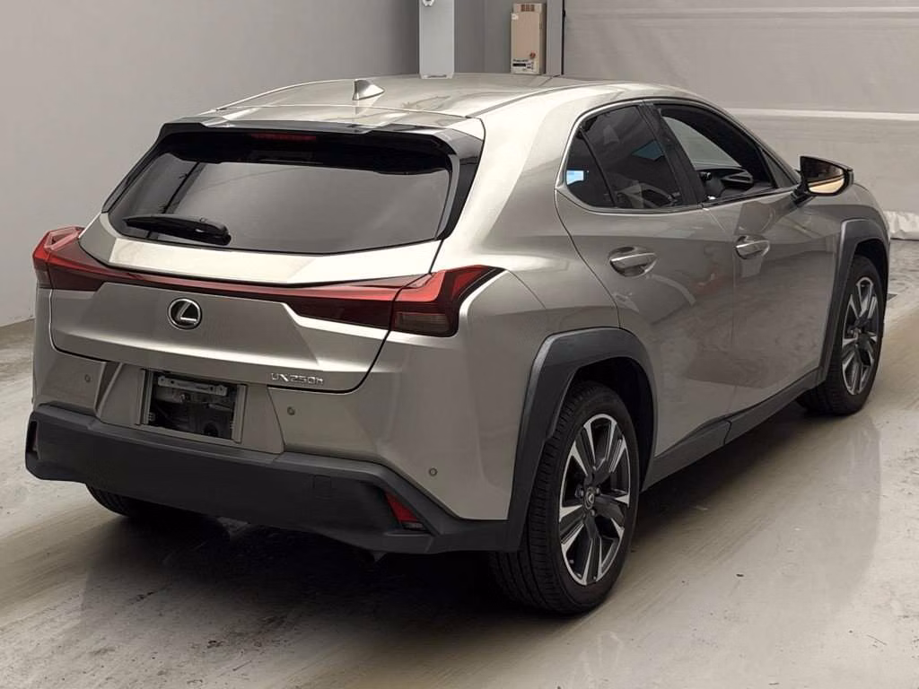 LEXUS UX250H