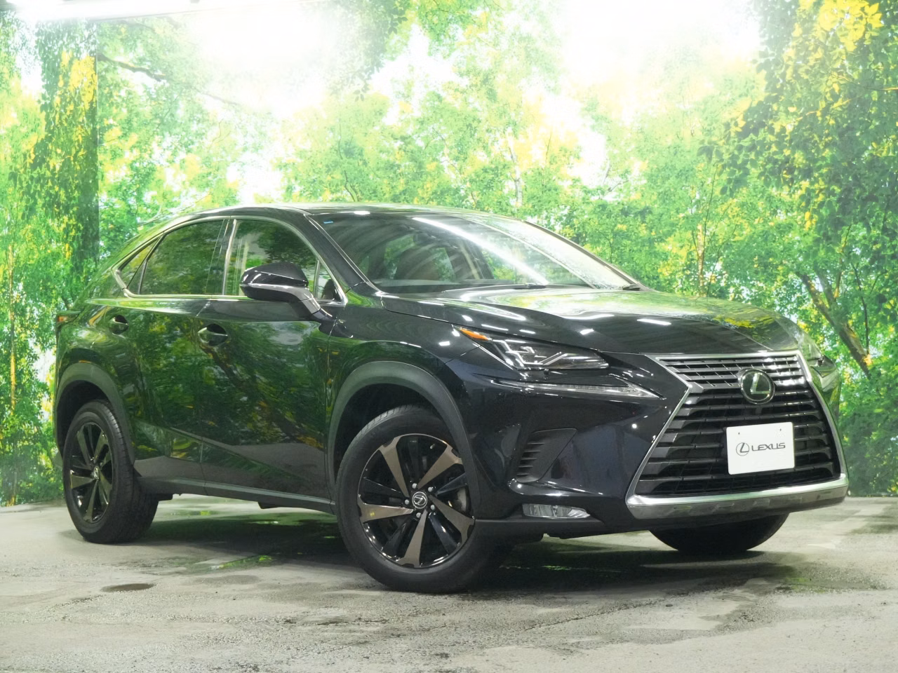 LEXUS NX300