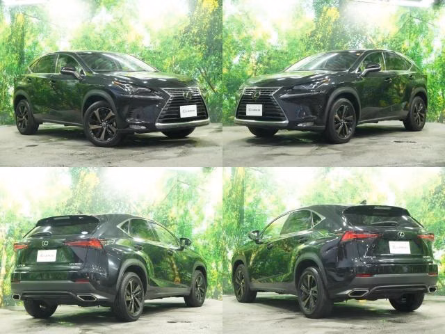 LEXUS NX300