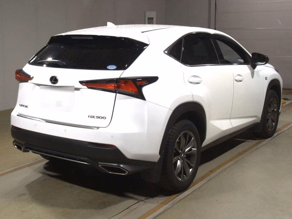 LEXUS NX300