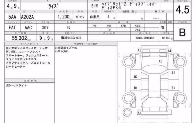 TOYOTA RAIZE
