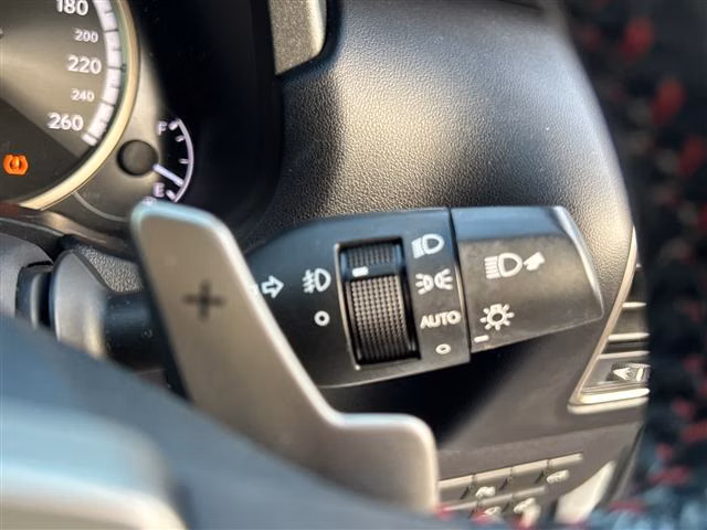 LEXUS NX300