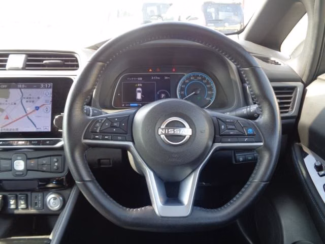 NISSAN LEAF