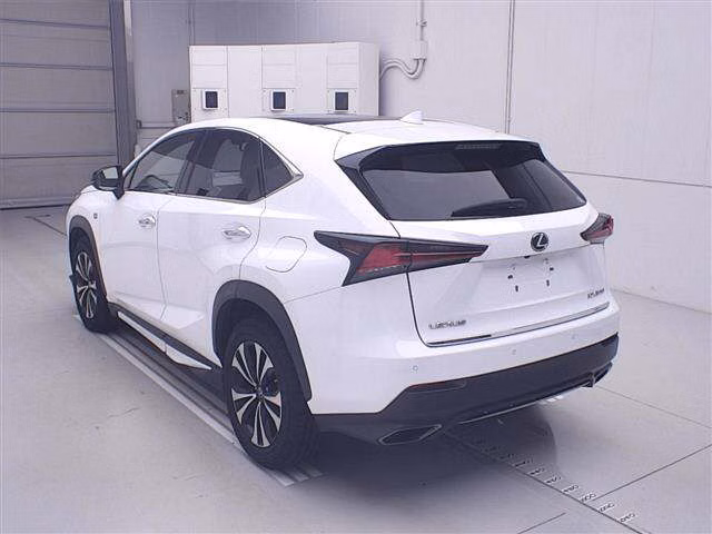 LEXUS NX300