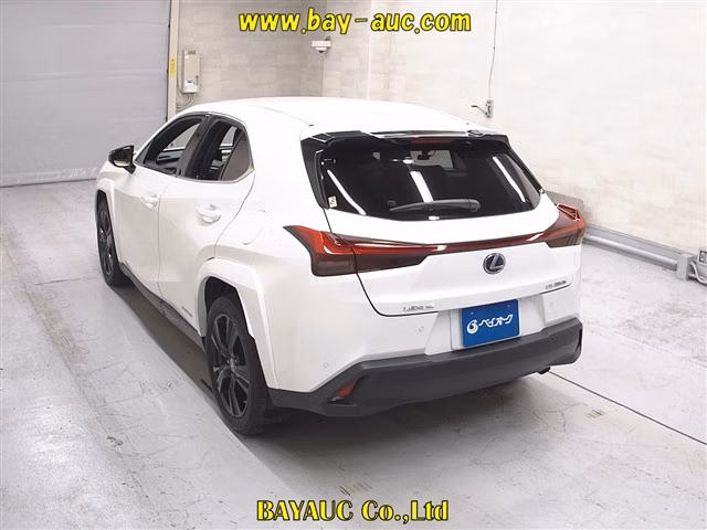 LEXUS UX250H