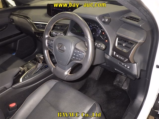 LEXUS UX250H