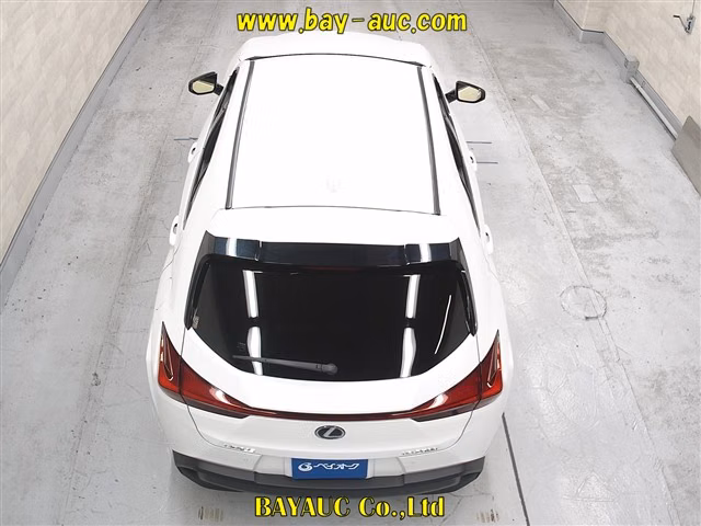 LEXUS UX250H