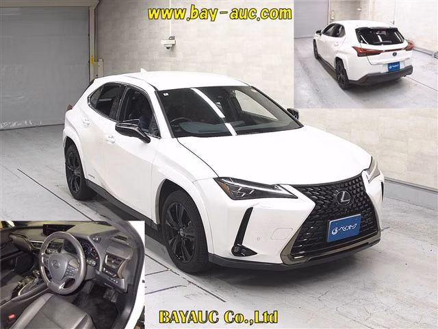 LEXUS UX250H