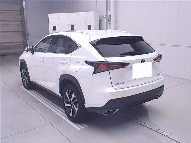 LEXUS NX300