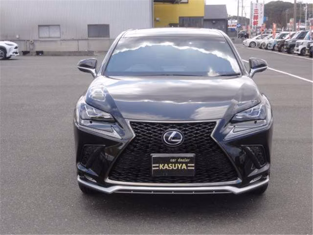 LEXUS NX300