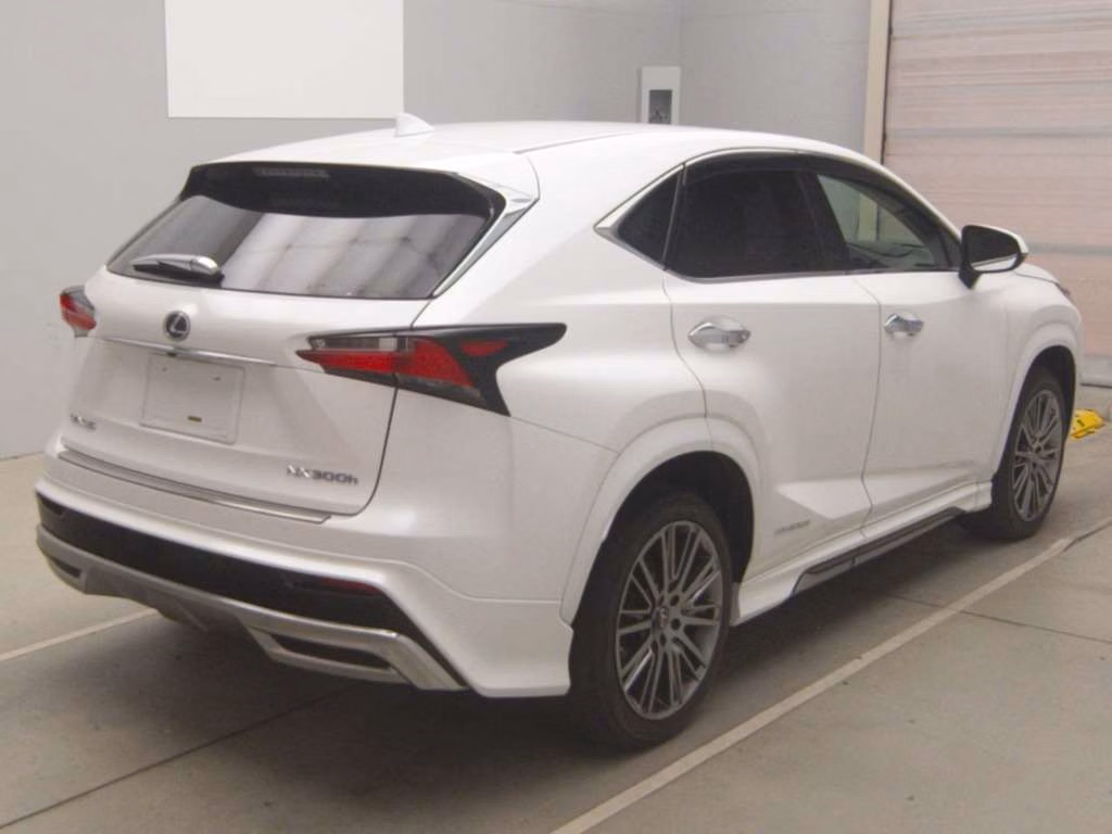 LEXUS NX300