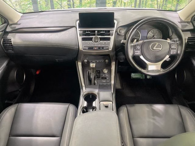LEXUS NX300