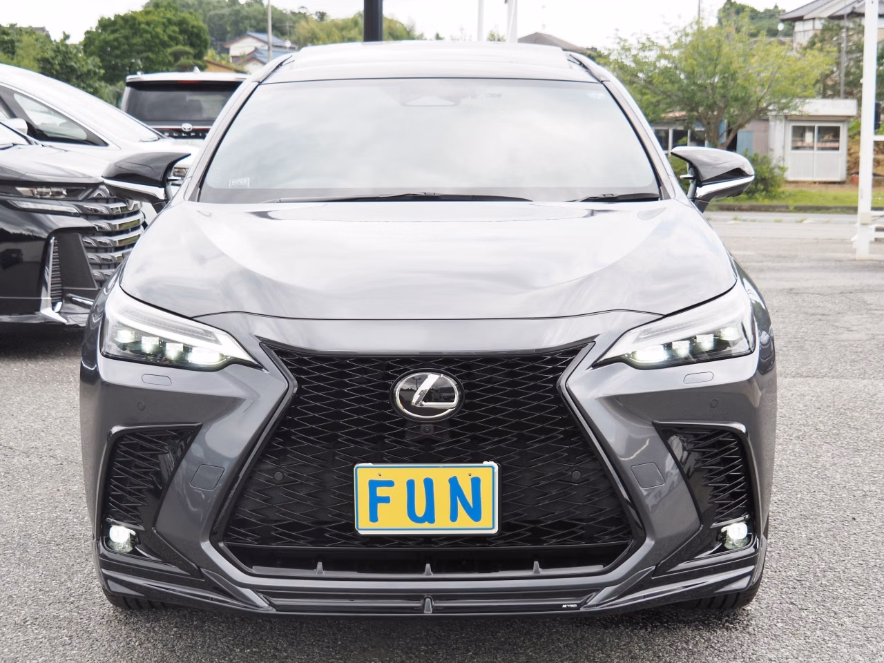 LEXUS NX350H