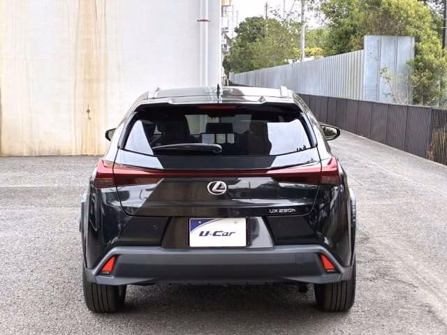 LEXUS UX250H