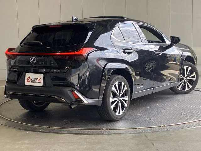 LEXUS UX250H