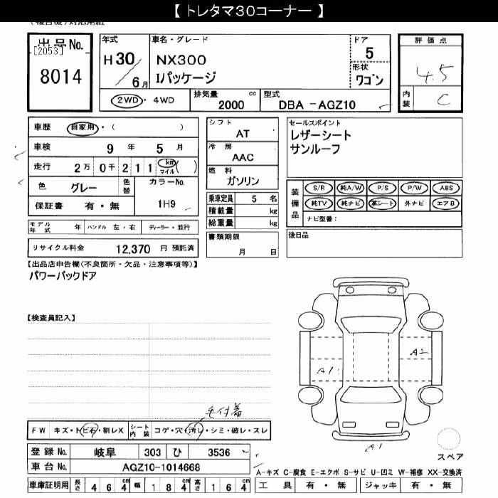 LEXUS NX300