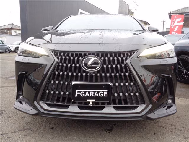 LEXUS NX350H