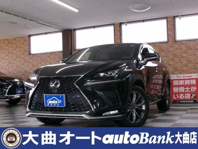 LEXUS NX300