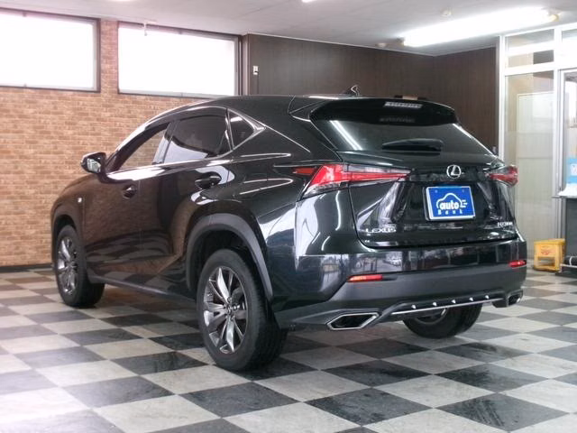 LEXUS NX300
