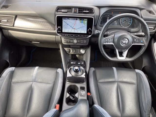 NISSAN LEAF