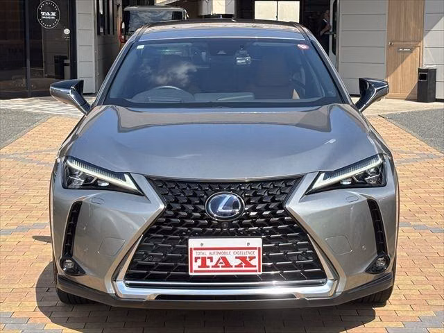 LEXUS UX250H