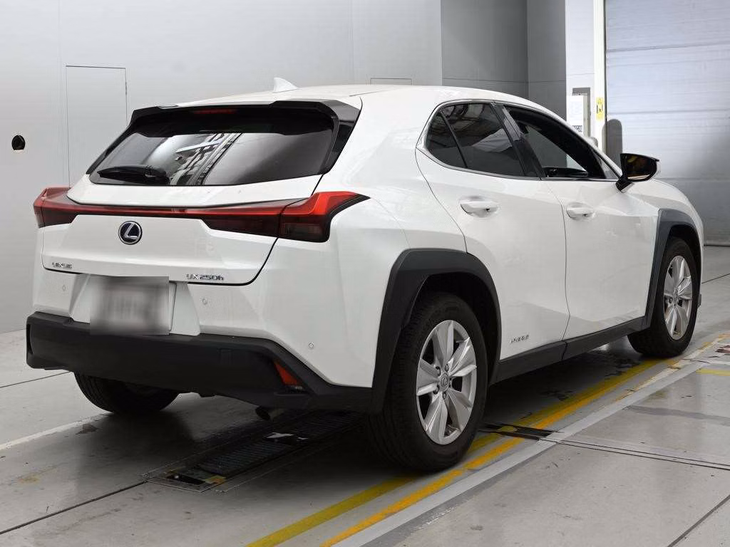 LEXUS UX250H