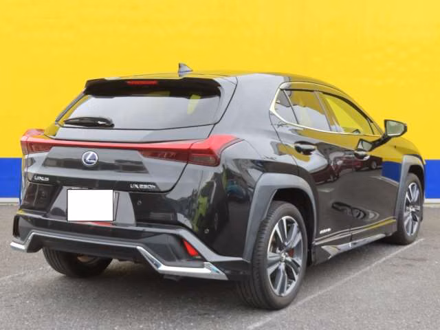 LEXUS UX250H