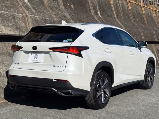 LEXUS NX300