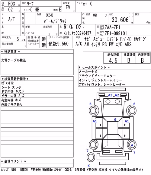 NISSAN LEAF